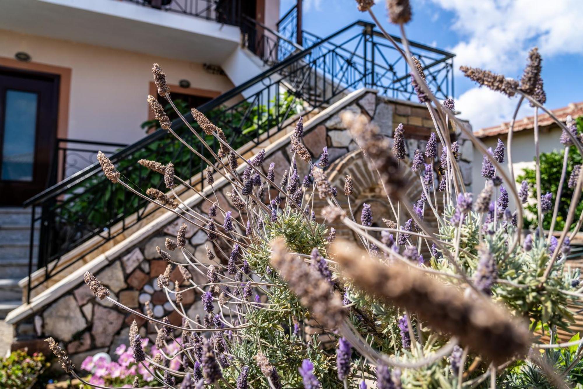 Koroni Family House With The Best View 84 Sqm Dış mekan fotoğraf